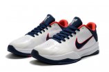 Nike Zoom Kobe 5-006 Shoes