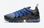 Air Vapormax TN Plus-047 Shoes