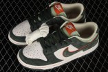 WM/youth Nike SB Dunk Low-048 Shoes