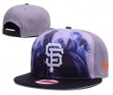 San Francisco Giants Adjustable Hat-008 Jerseys
