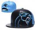 Carolina Panthers Adjustable Hat-010 Jerseys