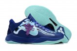 Nike Zoom Kobe 5-030 Shoes