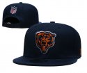 Chicago Bears Adjustable Hat-001 Jerseys