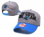Carolina Panthers Adjustable Hat-009 Jerseys
