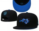 Carolina Panthers Adjustable Hat-005 Jerseys