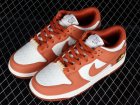 WM/youth Nike SB Dunk Low-009 Shoes