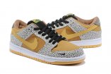 WM/youth Nike SB Dunk Low-120 Shoes