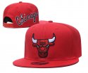Chicago Bulls Adjustable Hat-014 Jerseys