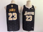 Los Angeles Lakers #23 James-068 Basketball Jerseys