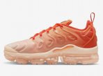 Air Vapormax TN Plus-044 Shoes