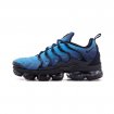 Air Vapormax TN Plus-008 Shoes