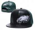 Philadelphia Eagles Adjustable Hat-010 Jerseys