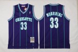 Charlotte Hornets #33 Mourning-002 Basketball Jerseys