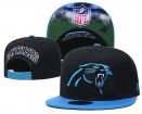 Carolina Panthers Adjustable Hat-006 Jerseys