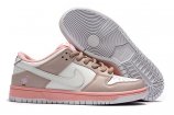 WM/youth Nike SB Dunk Low-110 Shoes