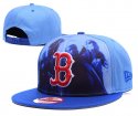 Boston Redsox Adjustable Hat-010 Jerseys