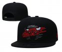 Chicago Bulls Adjustable Hat-016 Jerseys