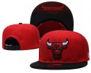 Chicago Bulls Adjustable Hat-013 Jerseys