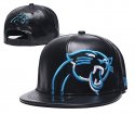 Carolina Panthers Adjustable Hat-011 Jerseys