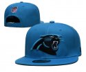 Carolina Panthers Adjustable Hat-001 Jerseys