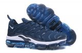 Air Vapormax TN Plus-030 Shoes