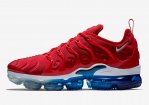 Air Vapormax TN Plus-043 Shoes